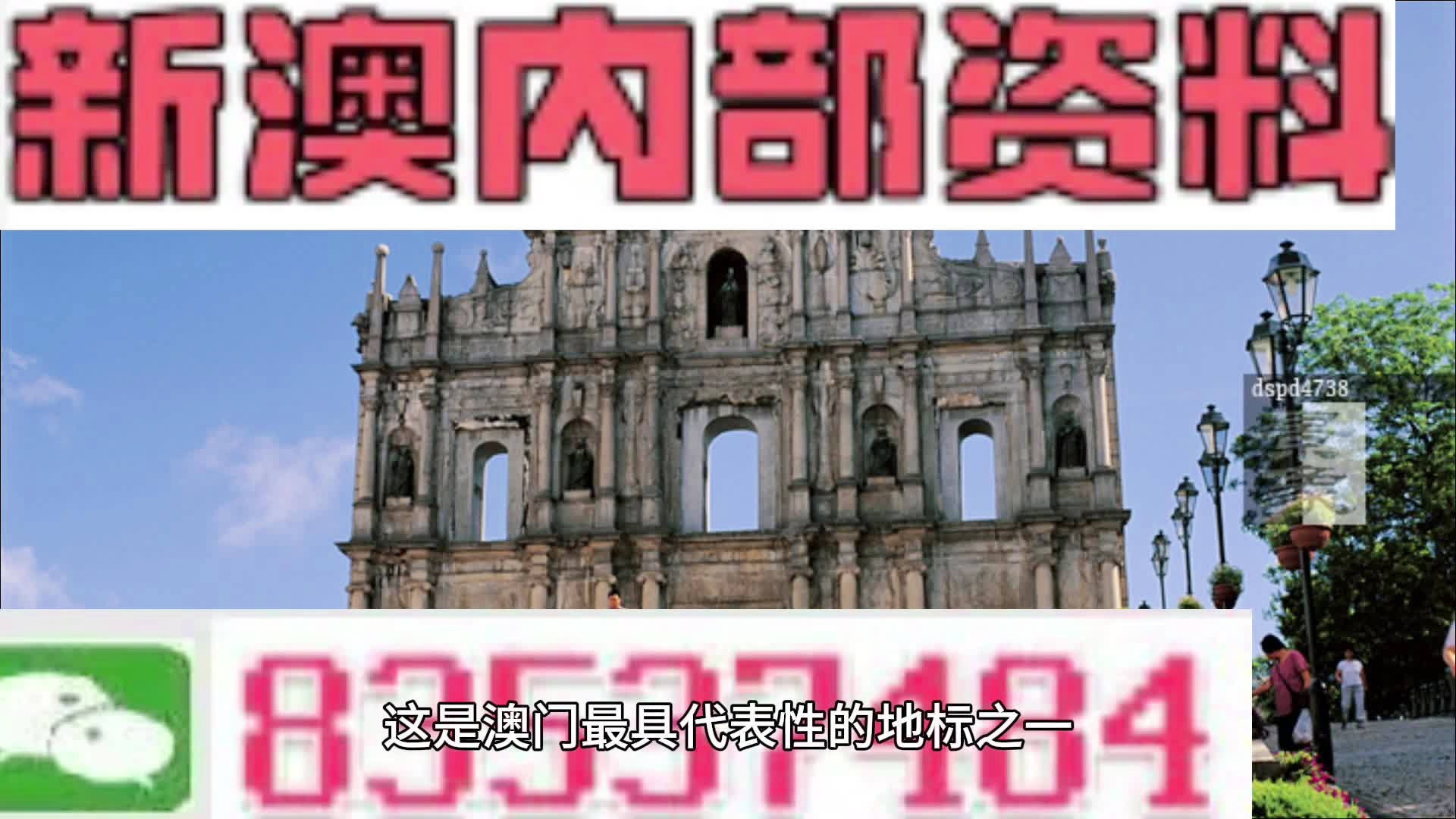 新澳精準資料期期精準,定性解讀說明_4K56.230