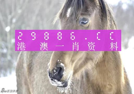 澳門一肖一碼，揭秘精準(zhǔn)預(yù)測背后的故事，澳門一肖一碼揭秘，精準(zhǔn)預(yù)測背后的秘密故事