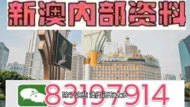 新澳門今晚開(kāi)特馬結(jié)果——探尋彩票背后的故事，彩票背后的故事，新澳門今晚特馬結(jié)果揭曉